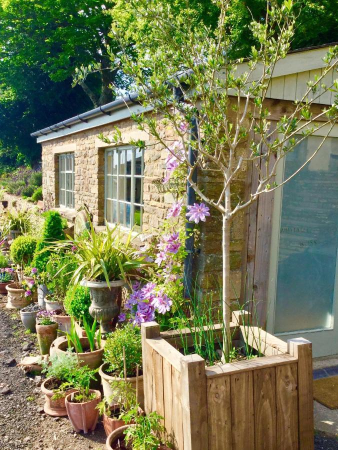 Lavender Cottage Gloucester Exterior foto